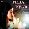 About TERA PYAR Song